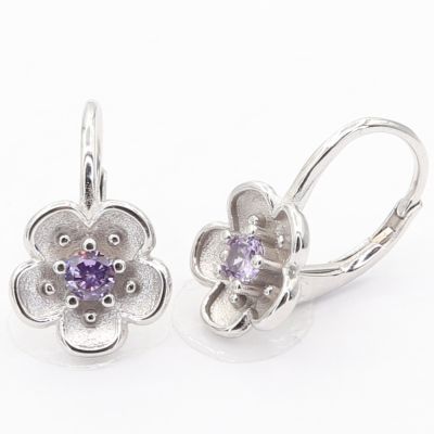 Stříbrné náušnice E4816V