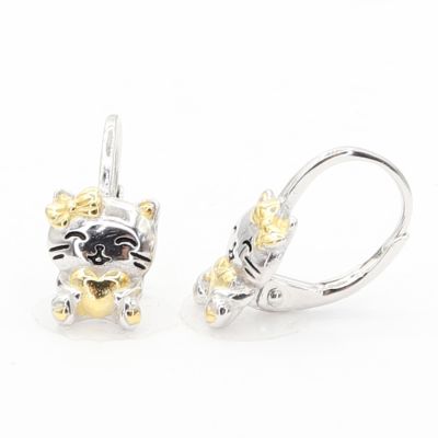 Stříbrné náušnice E4818Y