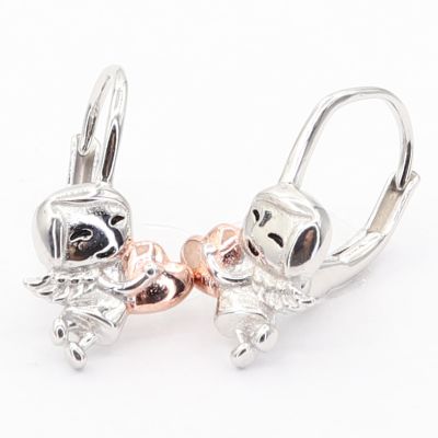 Stříbrné náušnice E4820P