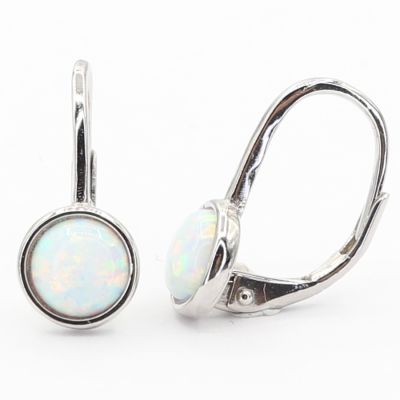 Stříbrné náušnice E4831
