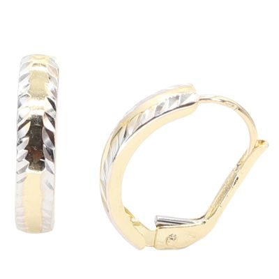 Zlaté náušnice CTK020/6