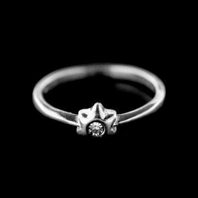 Stříbrný prsten R734